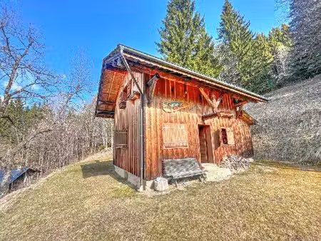 authentique chalet de montagne autonome à vendre; montriond