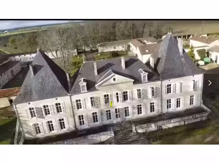 vente château 2500 m² à brieuil-sur-chizé (79170)  1 750 000 €