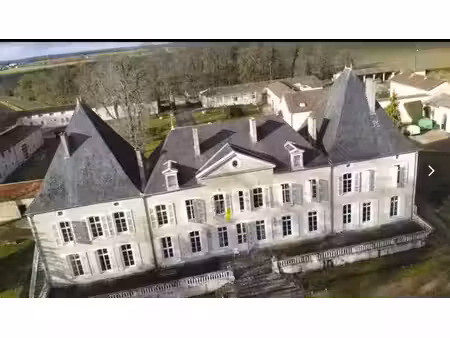 vente château 2500 m² à brieuil-sur-chizé (79170)  1 200 000 €