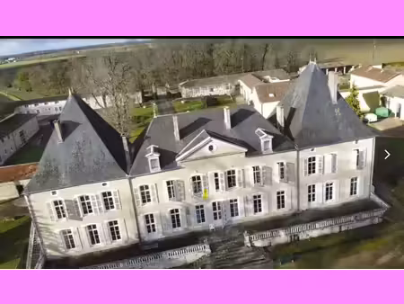 vente château 2500 m² à brieuil-sur-chizé (79170)  1 780 000 €