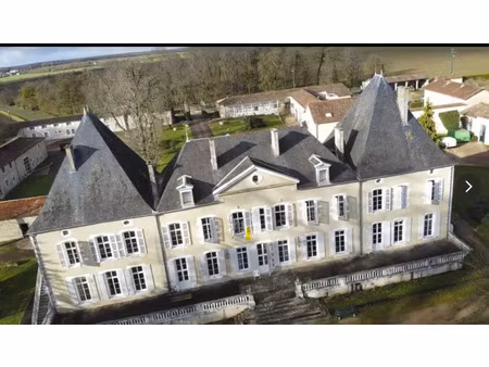 vente château 2500 m² à brieuil-sur-chizé (79170)  nan €