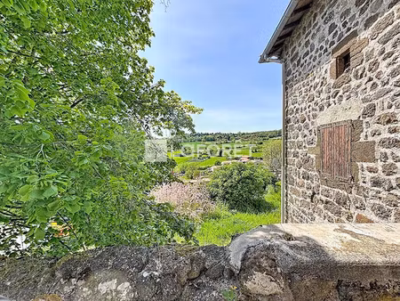 vente immeuble 11 pièces 330 m² à polignac (43000)  305 000 €