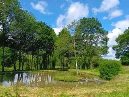 vente maison à saint-germain-le-fouilloux (53240) : à vendre / 108m² saint-germain-le-foui