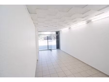 immobilier professionnel à vendre blagnac