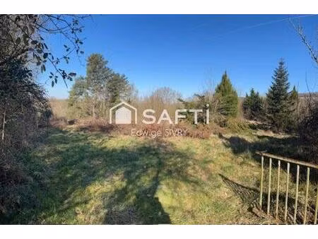 terrain atypique 6 045 m² – plusieurs parcelles à semur
