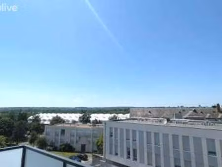 vente appartement 2 pièces à angers centre (49000) : à vendre 2 pièces / 46m² angers centr