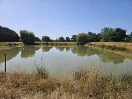 vente terrain à pannecé (44440) : à vendre / pannecé