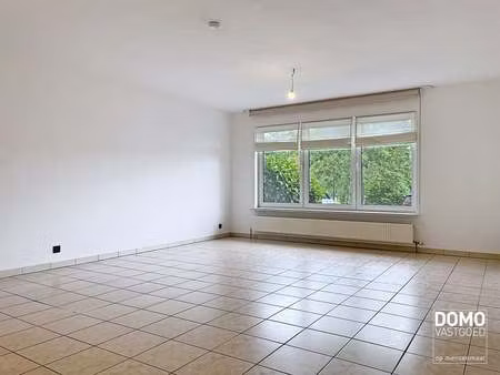 appartement à louer à hasselt € 1.075 (lppn6) - domo vastgoed | zimmo