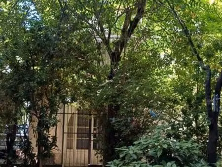 maison avec jardin 200m remparts d'avignon