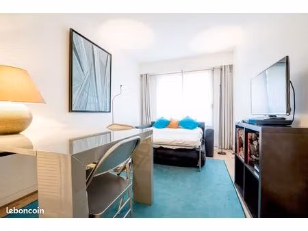 studio meublé lumineux – vue dégagée – esplanade strasbourg – disponible immédiate – fac /
