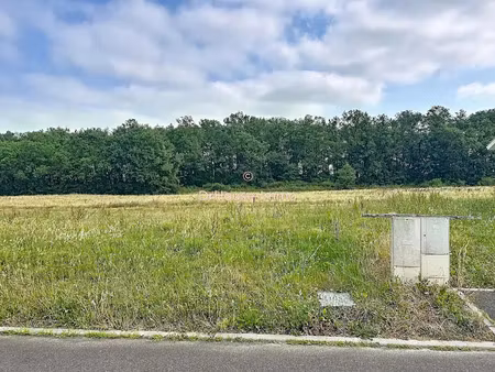 vente terrain 818 m² à cazères-sur-l'adour (40270)  46 218 €