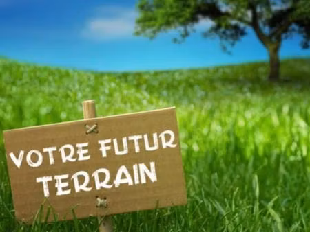 terrain constructible