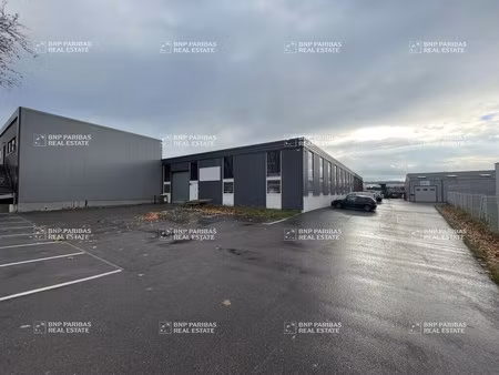 vente local d’activités seichamps 54280 730m²