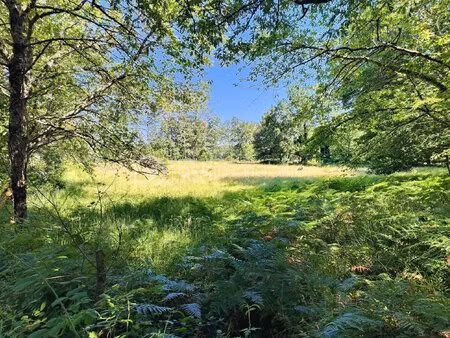 terrain de 3 934 m² à larzac