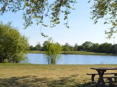 vente maison à champtocé-sur-loire (49123) : à vendre / 283m² champtocé-sur-loire