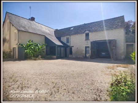 maison à vendre palluau sur indre 10 pièce(s) 225m2 193 000€