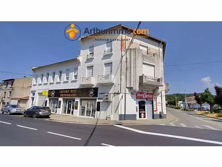 vente immeuble 13 pièces 300 m2 à lavelanet