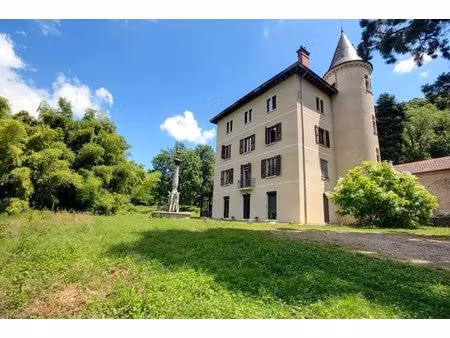 vente saint-martin-d'heres - plateau a amenager dans chateau