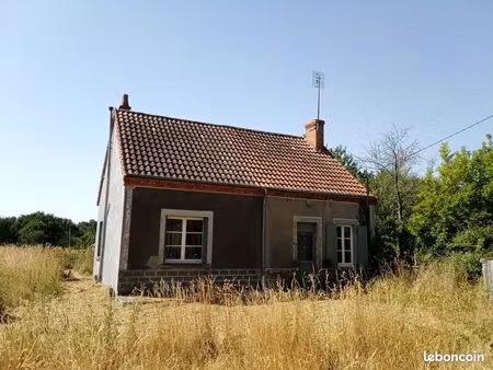 maison avec piscine naturelle
