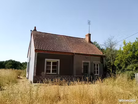 maison avec piscine naturelle