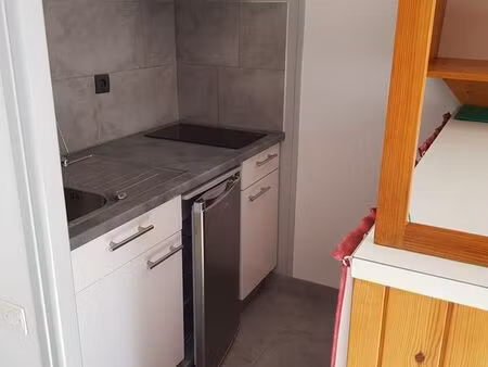 studio 28m2 ile verte - grenoble
