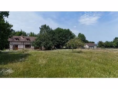 pays d'auge immobilier