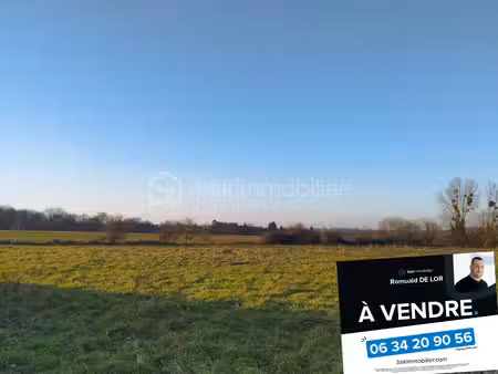 terrain de 7 310 m² à saint-benoit-des-ombres
