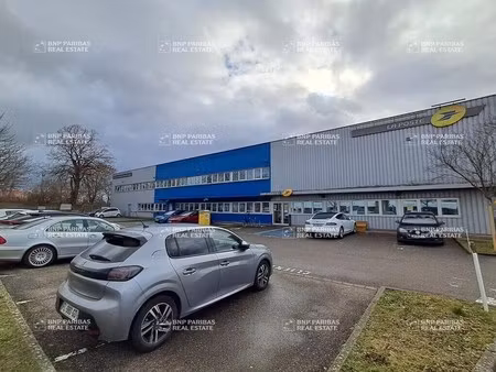 vente local d’activités schiltigheim 67300 2843m² à 6162m²