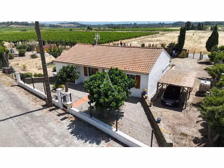 maison de plain-pied sans travaux avec grand terrain au coeur des vignes
