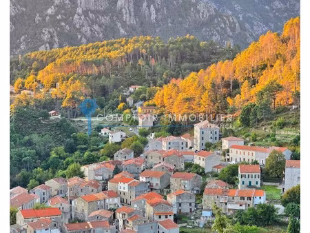 a vendre jolie maison de village a ghisoni