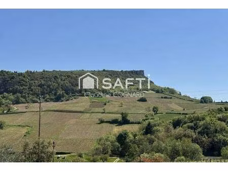 safti cognard claudine conseiller indépendant