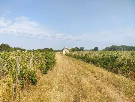 terrain agricole 3.13 hectares (non constructible)