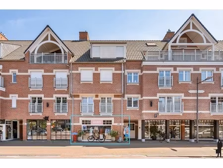 commercieel te huur in kalmthout