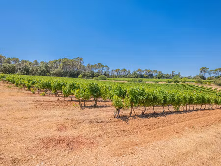 vente propriété viticole 27 pièces