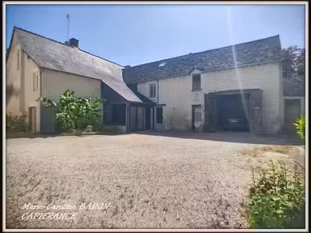 vente maison 10 pièces 225 m² à palluau-sur-indre (36500)  193 000 €