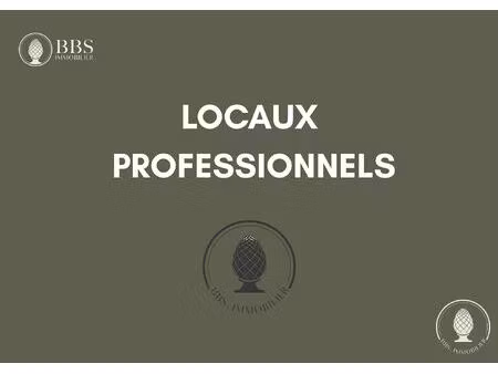 achat local professionnel 159m² la rochelle 17000