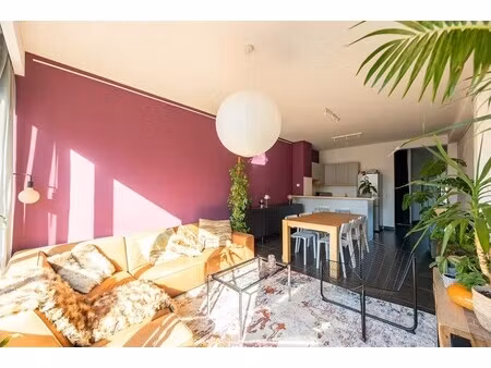 lichtrijk appartement in hartje antwerpen