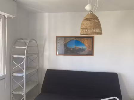 location appartement 1 pièce 27 m² à villeurbanne (69100)