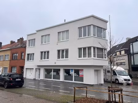 instapklaar horecapand & garage op opvallende hoekligging