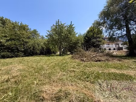 terrain
