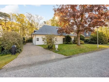 rustig gelegen te renoveren villa op de grens met schilde