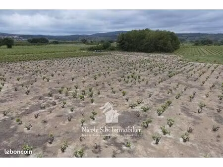 terrain agricole 6 011 m² estagel