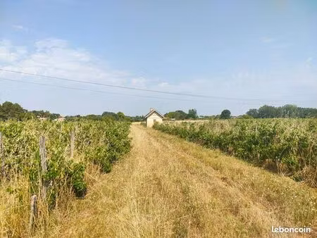 terrain agricole 31 300 m² sainte eulalie