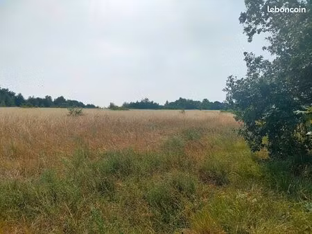 terrain agricole 56 000 m² sainte eulalie