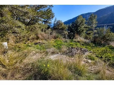 annonce terrain à vendre