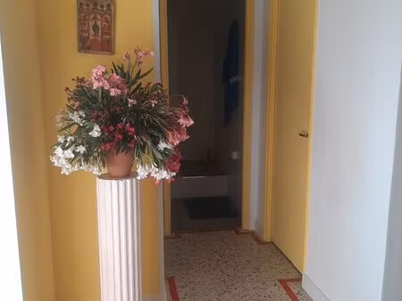 appartement t3