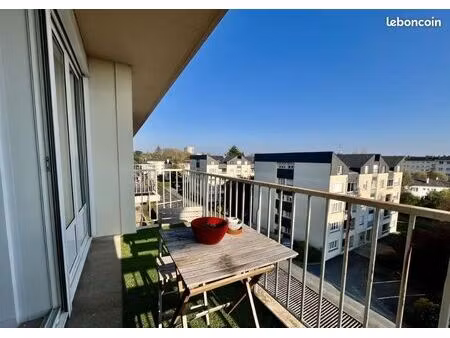 t3 lumineux angers ideal colocation