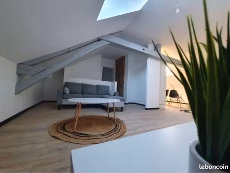 charmant appartement 1 chambre