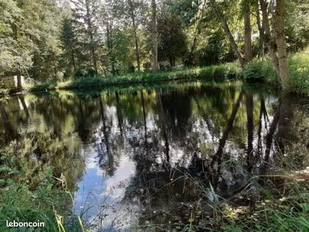 etang