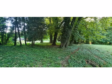 achat terrain 11 545m²